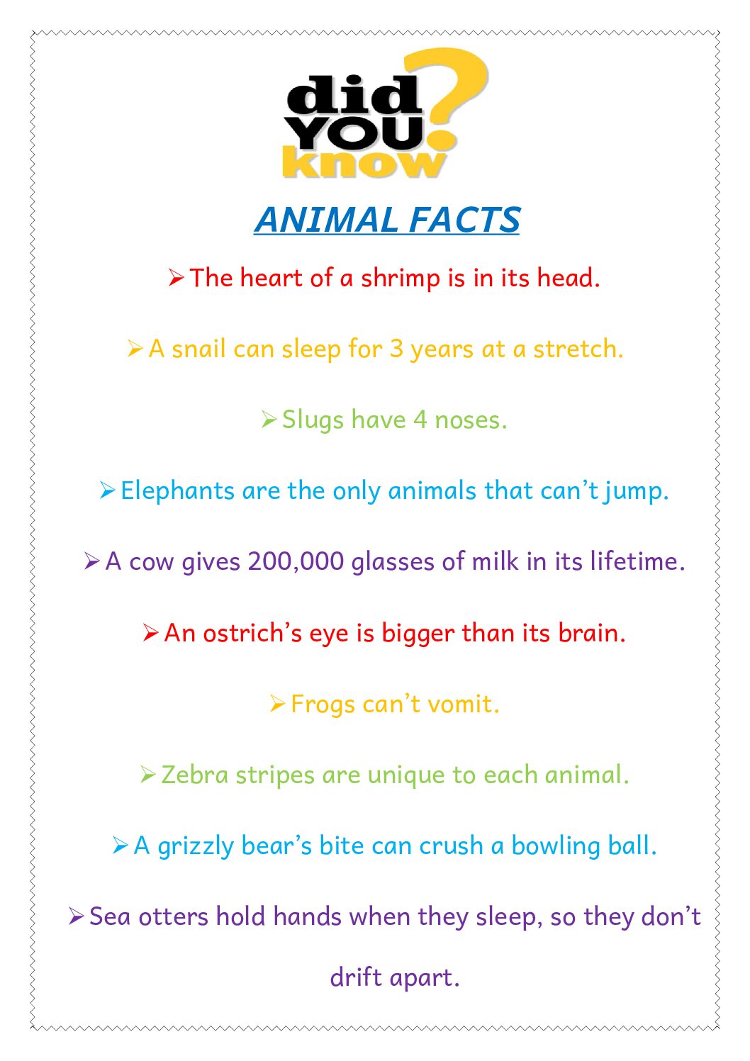 Did you Know? - Flashcards