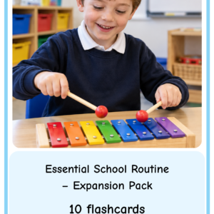 Essential School Routine Expansion Pack (boy)- Flashcards